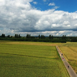 InZwischenZeit:Film macht professionelle Luftaufnahmen mit einer Kameradrohne am Rumpenheimer Feld
